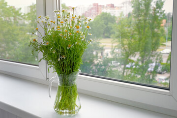 Spring-summer bouquet of daisy flowers in a vase on a windowsill.