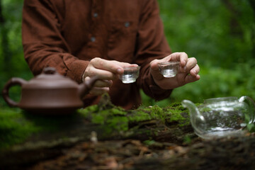 Man holding glass tea bowls near clay tea pot and cha hai on wooden snag with moss in forest