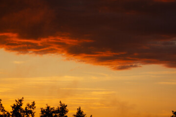 Eagle on the background of the natural evening sky after a thunderstorm.