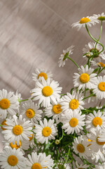 Daisy or chamomile flowers bouquet on the wooden background. Top view.