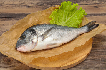 Raw Dorada fish  for cooking
