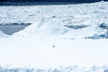 Fototapeta na wymiar Ice in Antarctica