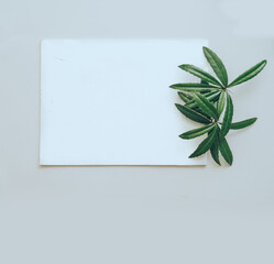 White paper on a light background and green branches and white sheet. Summer concept. Flat lay, top view, copy space