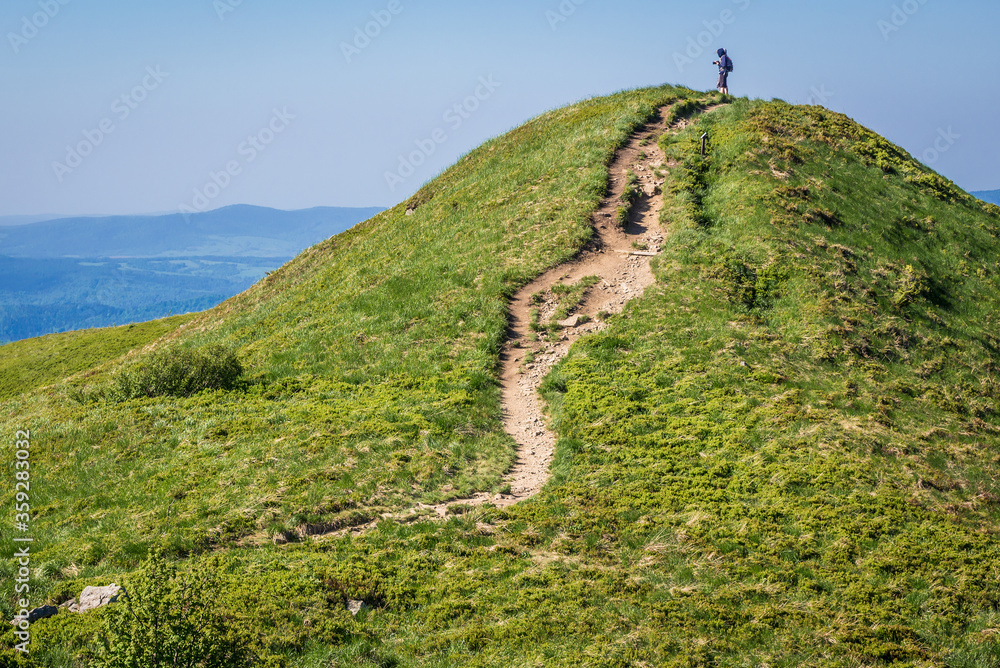 Canvas Prints Trail near Halicz mountain in Bieszczady National Park in Bieszczady mountain range in Subcarpathian Voivodeship of Poland