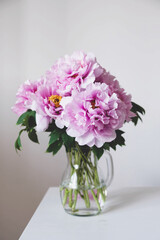 Naklejka na ściany i meble Beautiful bouquet of fresh pink peony flowers in full bloom in vase.