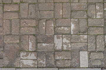 Fototapeta premium abstract background of an old cement tiles on the road in a park close up