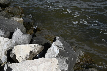 Obraz premium rocks in the water