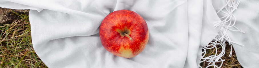 Red apple on a white plaid on the grass in the garden