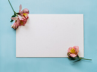 flower arrangement. of pink flowers white sheet of paper on a blue background. Flatly, the concept of summer or spring, text place