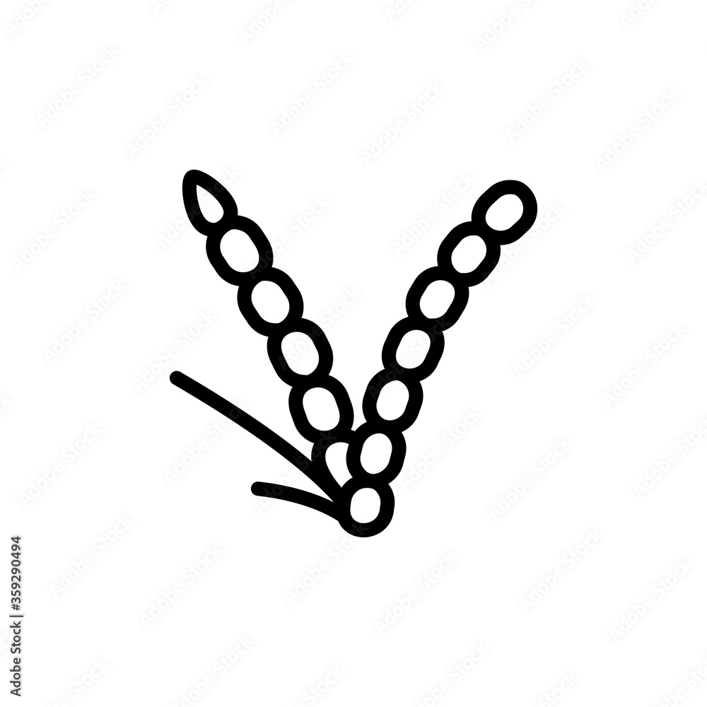 Poster rice flower leaf icon. simple line, outline vector elements of botanicals icons for ui and ux, websi