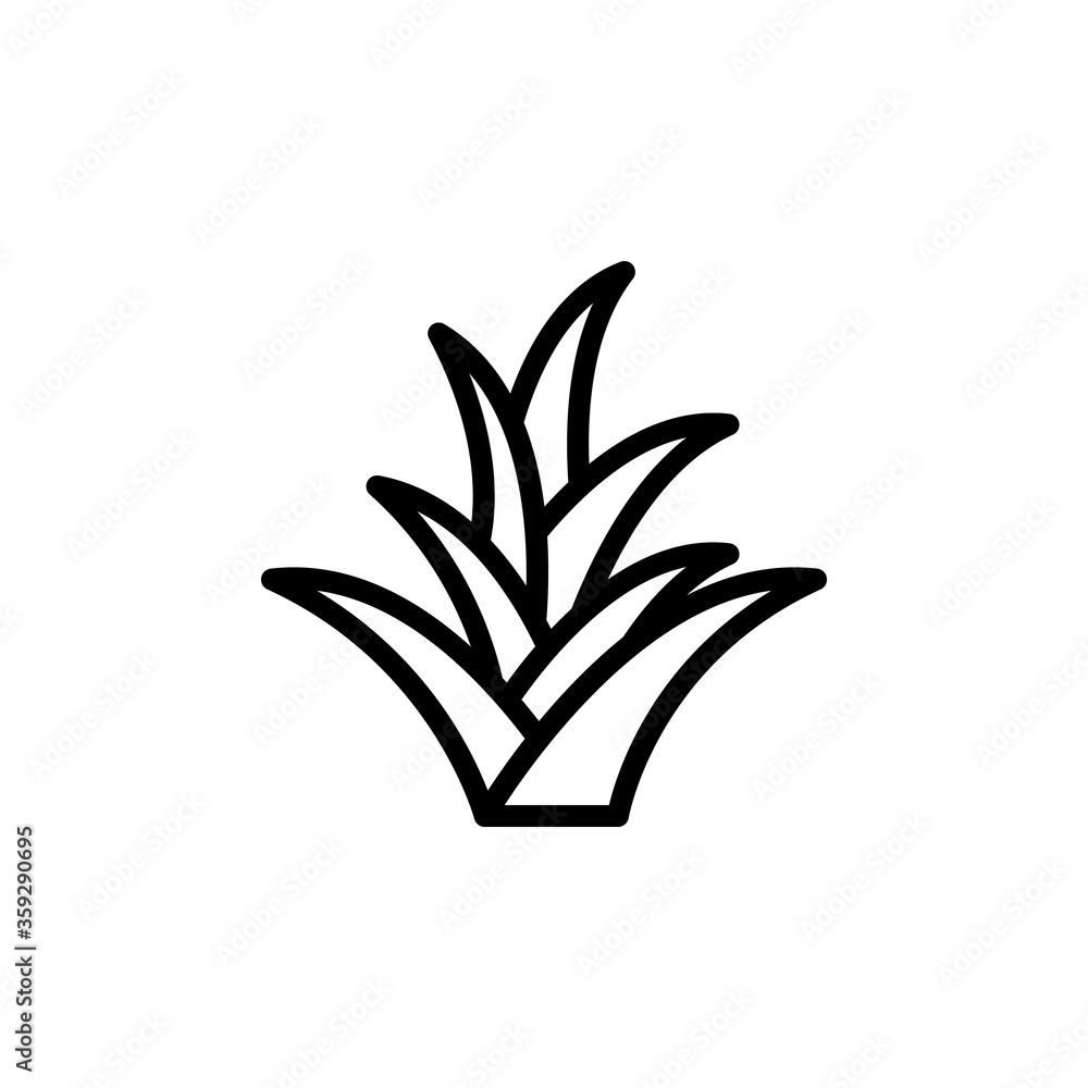 Poster bromeliaceae leaf icon. simple line, outline vector elements of botanicals icons for ui and ux, webs