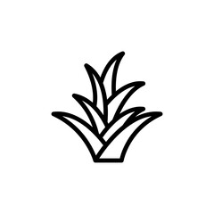 Bromeliaceae leaf icon. Simple line, outline vector elements of botanicals icons for ui and ux, website or mobile application