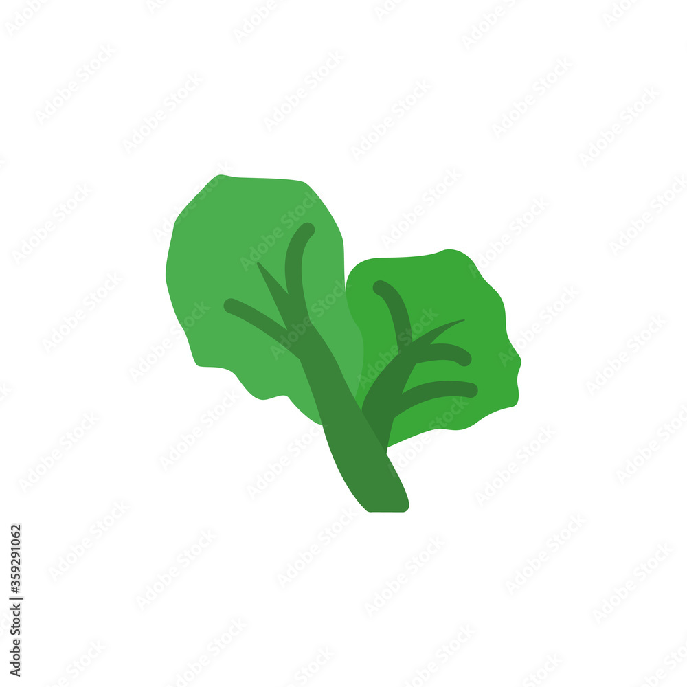 Poster cabbage leaf icon. simple color vector elements of botanicals icons for ui and ux, website or mobile