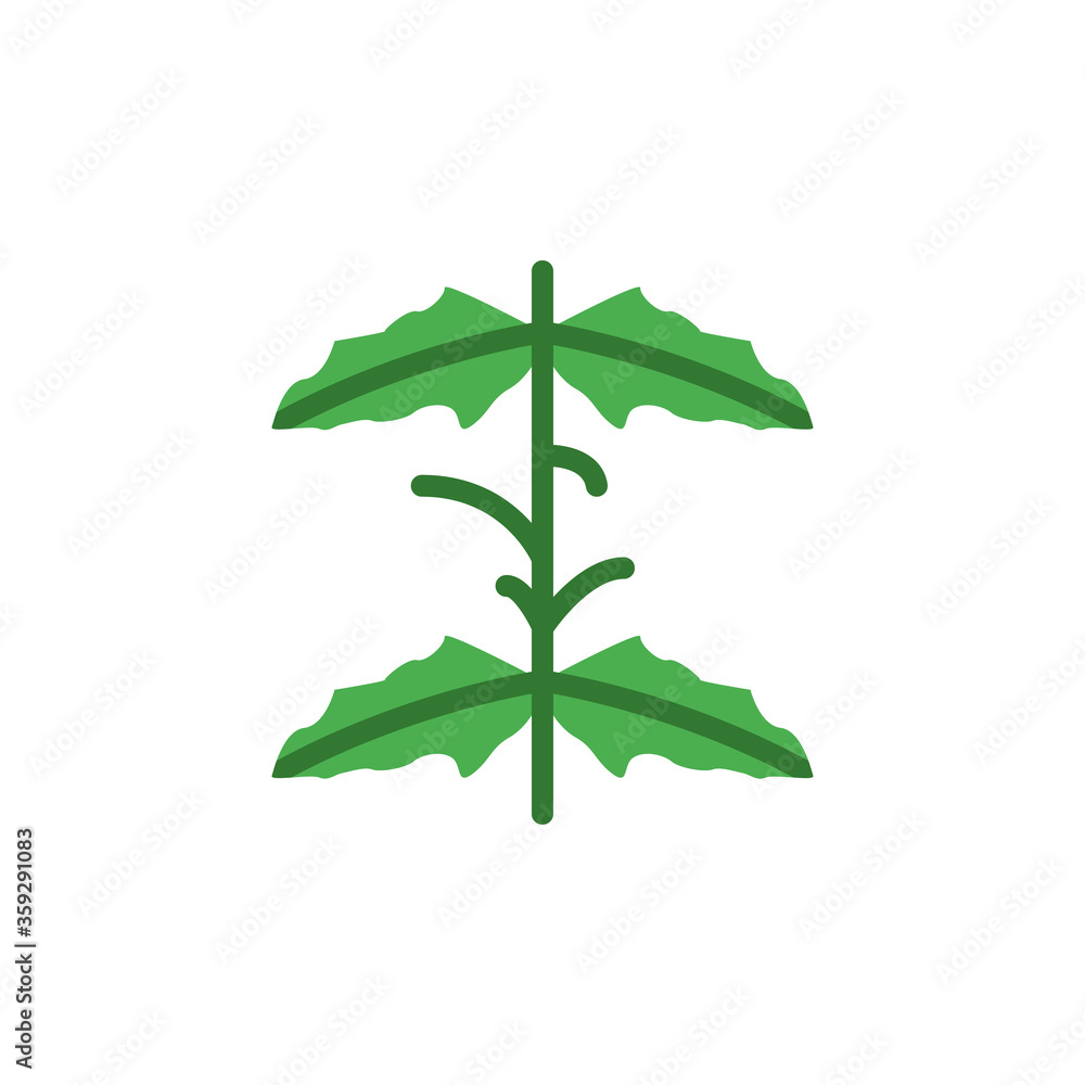 Poster mint leaf icon. simple color vector elements of botanicals icons for ui and ux, website or mobile ap