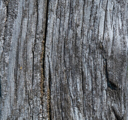 Continuous dark gray wooden cutting board. Wood texture.