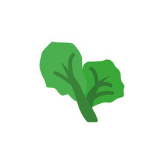 Cabbage leaf icon. Simple color vector elements of botanicals icons for ui and ux, website or mobile application