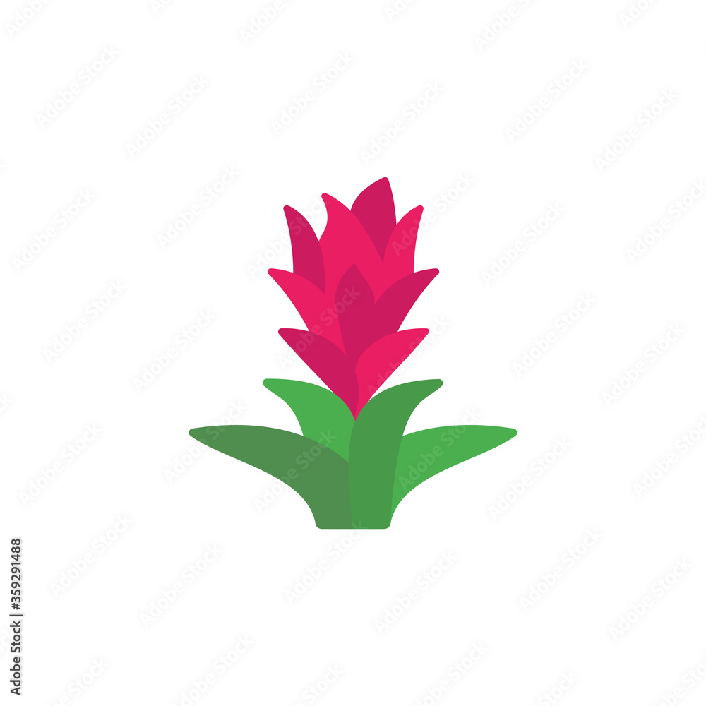 Poster bromeliaceae leaf icon. simple color vector elements of botanicals icons for ui and ux, website or m