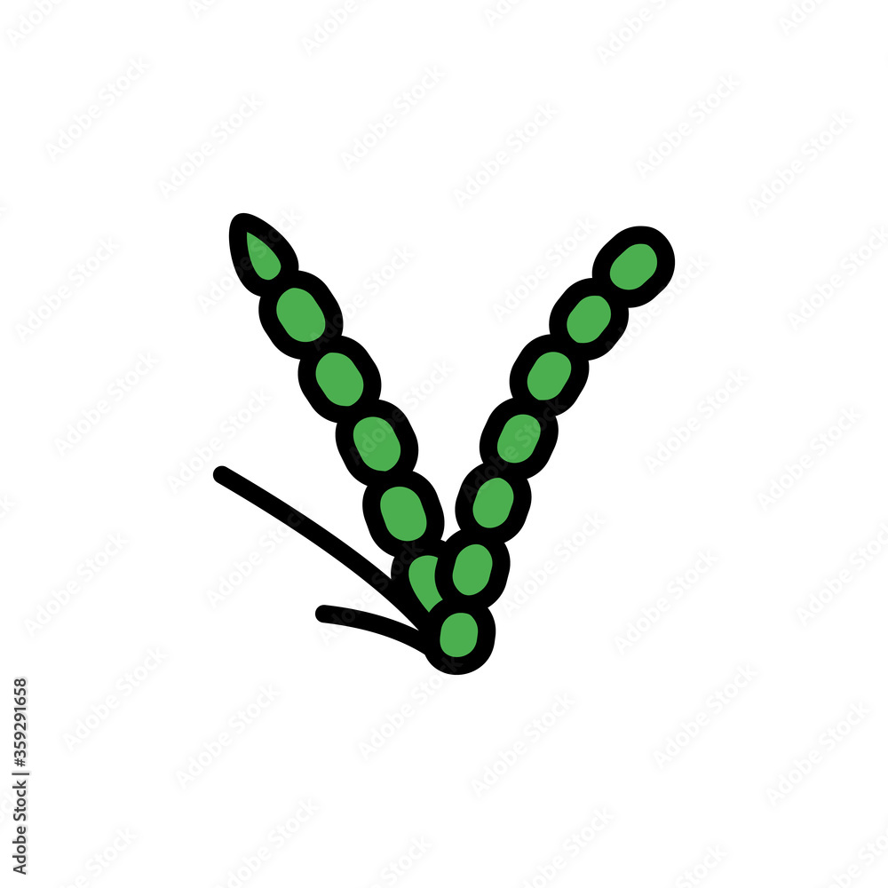 Poster rice flower leaf icon. simple color with outline vector elements of healing plant icons for ui and u