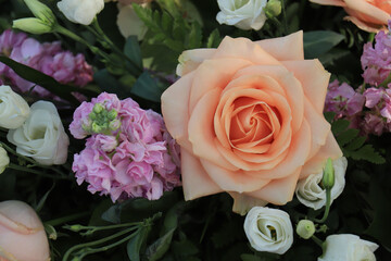 Peach colored roses