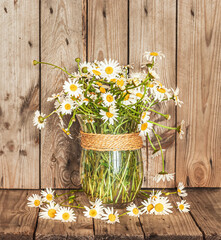 A Bouquet of Fresh Chamomile in a Vase on a Rustic Background. Vintage scenery.