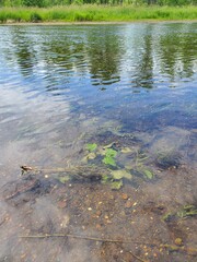 Minnesota in the summer time