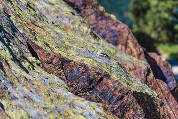 Felsen mit Flechtenstruktur