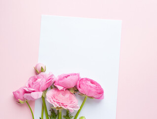 A bouquet of pink ranunculus flowers. A white sheet of paper lies on pink paper. Top view, copy space. Concept Mother's Day, Family Day, Valentine's Day. Flat lay	