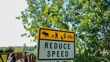Moose Warning
