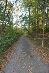 path in the park
