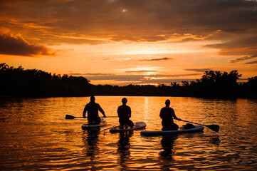 rear view on people on sup boards with paddles floating on the river at sunset.