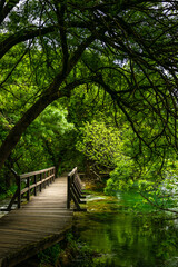 Wooden walking pathway in the green forest in Krka National Park. Croatia, 28th April 2015.