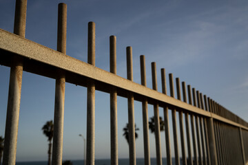 metal rod gate or fence with blue sky and palm trees at the beach