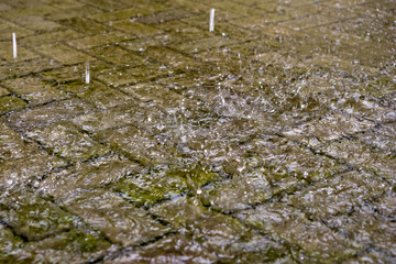 Raindrops during the day