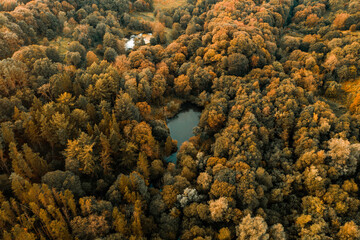 An aerial view of a small body of water hidden amongst thick woodland and foliage