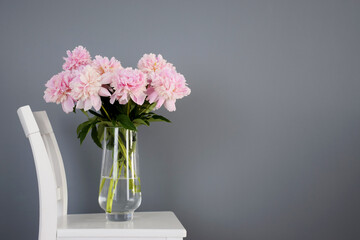 Bouquet of fresh pastel pink peony flowers in glass vase on white chair and gray background. Minimal style interior. Copy space.
