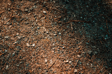 A close up of woodland terrain including stones and pine needles