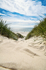 Fototapeta na wymiar Weg durch die Dünen zum Strand an der dänischen Nordseeküste.