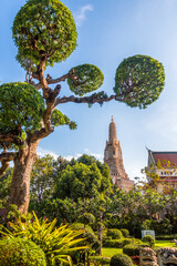 Garden of Wat Arun or Temple of Dawn. A Beautiful Buddhist Temple and Landmark of Bangkok in Thailand