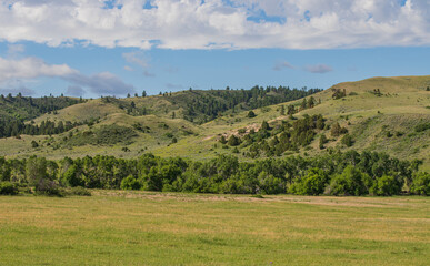 Fototapeta premium landscape with trees and mountains
