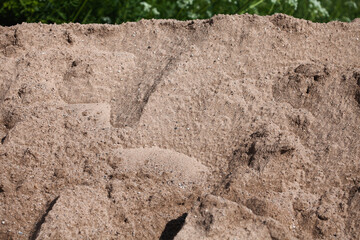 Rough sand texture in the bright sun.