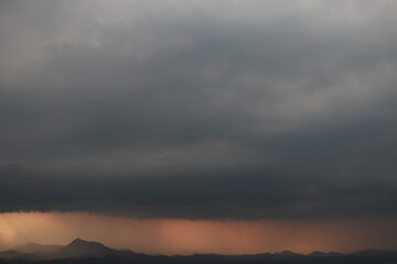 Gigante gris