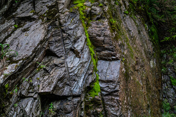 Rock wall with a little bit of moss