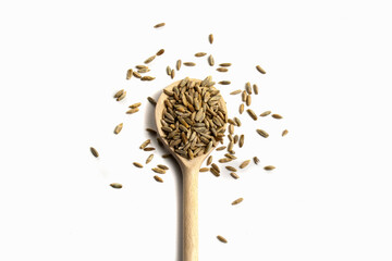 Wooden spoon with brown grains of wheat on pure white isolated background in central. Cereal seeds scattered on table around spoon. Oats, rye barley close-up. Top view. Free blank space for text