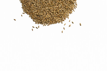 Grains of wheat, barley, rye, oats on white background close-up, natural dry grain in form of semicircle with scattered seeds or sun on top side, wheat seeds, isolated, top view. Free space for text