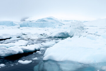 Fototapeta premium Beautiful view of the ice of Antarctica