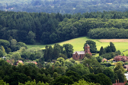 Surrey Hills  View.