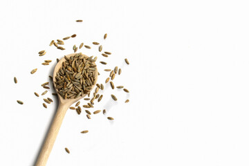 Wooden spoon with brown grains of wheat on pure white isolated background on left side. Cereal seeds scattered on table around spoon. Oats rye barley close-up. Top view. Free blank space for text