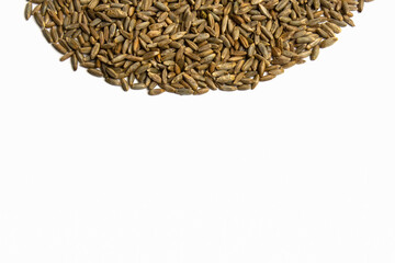 Grains of wheat, barley, rye, oats on white background close-up, natural dry grain in form of an even semicircle or sun on top side, wheat seeds macro shot, isolated, top view. Free space for text.