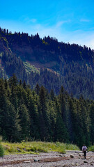 Woman exploring walking towards mountains