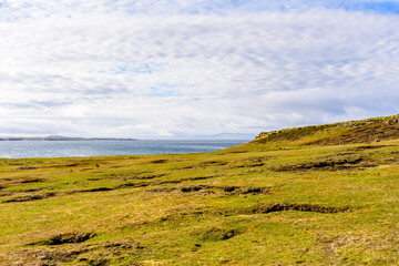 Obraz premium Nature of the Falkland Islands